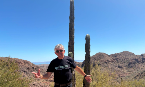 Piste dans le désert de Cataviña, Baja California